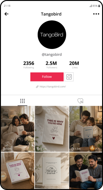 Over 2.4 Million Followers on TikTok